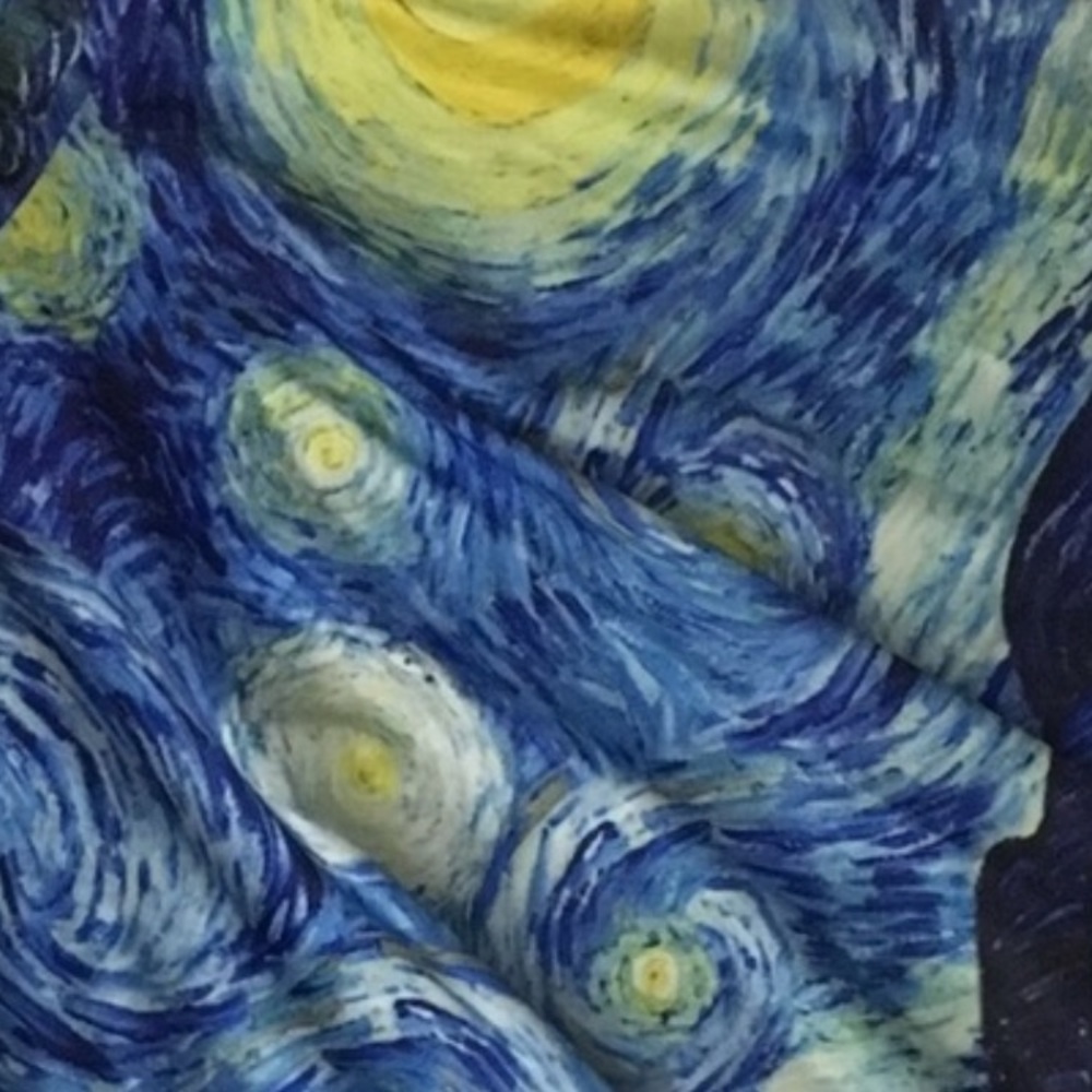 The Starry Night Skater Skirt